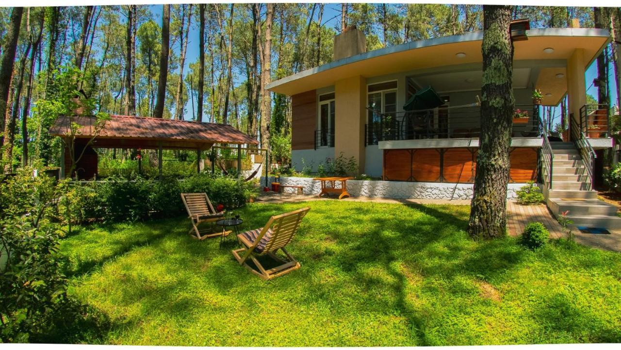 Villa Shekvetili Big Wonder Extérieur photo